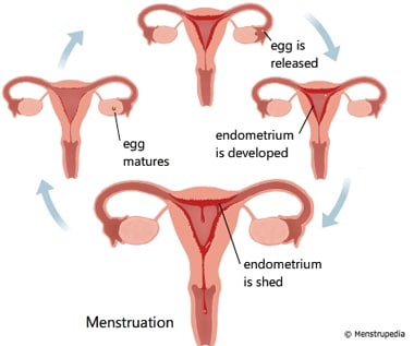 How can osteopathy relieve period pain?
