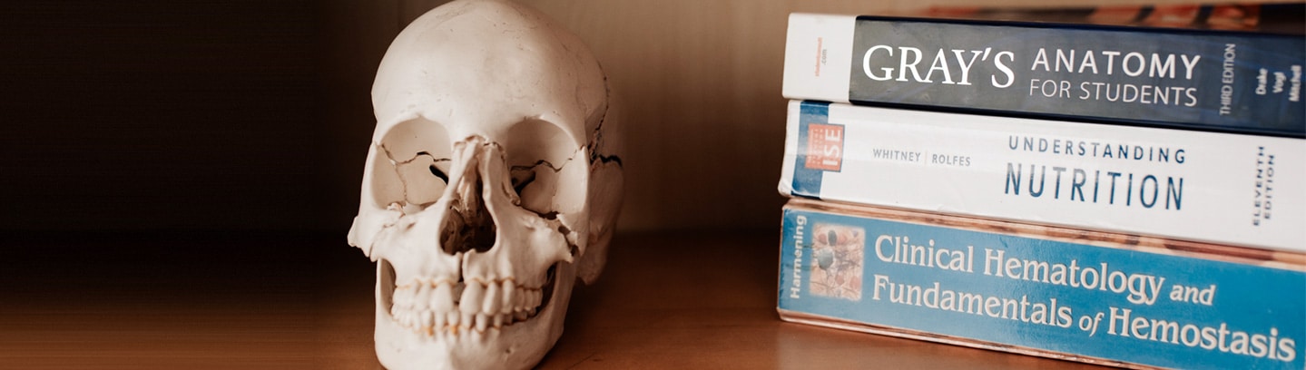 A model skull beside anatomy and nutrition textbooks on a shelf