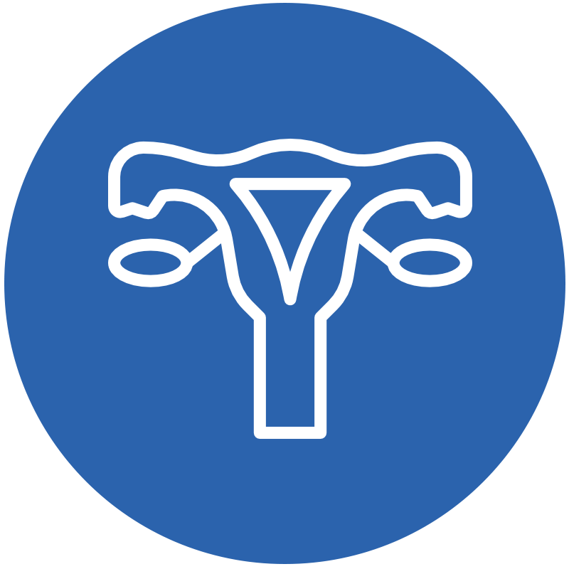 Icon representing assistance for reproductive health issues