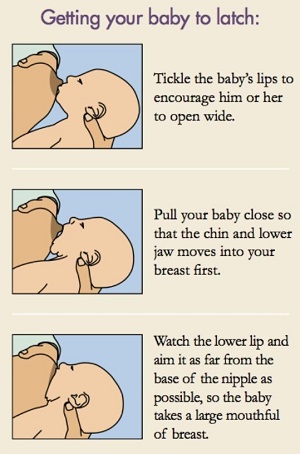 Drawing showing how getting your baby to latch